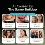New Maximum Potency Formula – Whitening Gum by HeroGum™ - Image 4